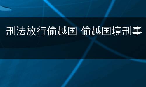 刑法放行偷越国 偷越国境刑事