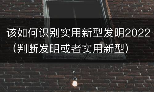 该如何识别实用新型发明2022（判断发明或者实用新型）