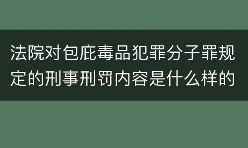 法院对包庇毒品犯罪分子罪规定的刑事刑罚内容是什么样的