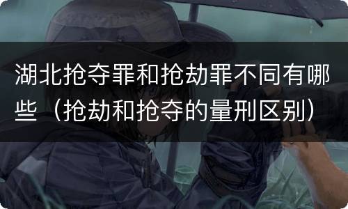 湖北抢夺罪和抢劫罪不同有哪些（抢劫和抢夺的量刑区别）