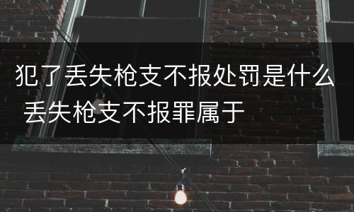 犯了丢失枪支不报处罚是什么 丢失枪支不报罪属于