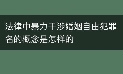 法律中暴力干涉婚姻自由犯罪名的概念是怎样的