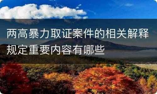 两高暴力取证案件的相关解释规定重要内容有哪些