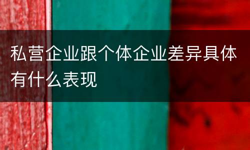 私营企业跟个体企业差异具体有什么表现