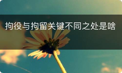 拘役与拘留关键不同之处是啥