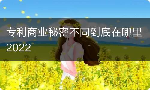 专利商业秘密不同到底在哪里2022