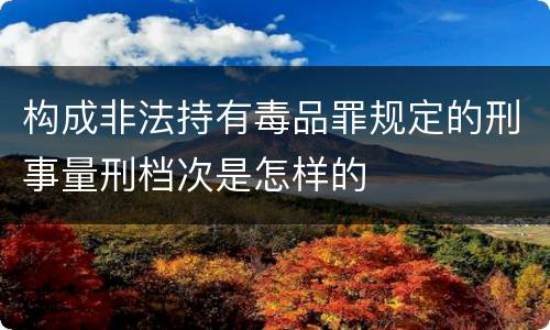 构成非法持有毒品罪规定的刑事量刑档次是怎样的