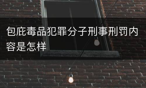 包庇毒品犯罪分子刑事刑罚内容是怎样