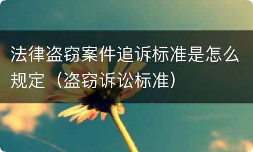 法律盗窃案件追诉标准是怎么规定（盗窃诉讼标准）