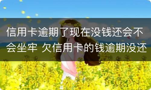 信用卡逾期了现在没钱还会不会坐牢 欠信用卡的钱逾期没还会怎么样