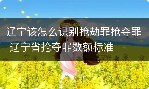 辽宁该怎么识别抢劫罪抢夺罪 辽宁省抢夺罪数额标准