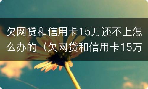 欠网贷和信用卡15万还不上怎么办的（欠网贷和信用卡15万还不上怎么办的钱）