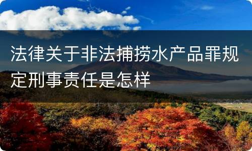 法律关于非法捕捞水产品罪规定刑事责任是怎样