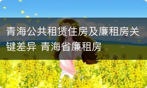 青海公共租赁住房及廉租房关键差异 青海省廉租房