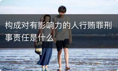 构成对有影响力的人行贿罪刑事责任是什么