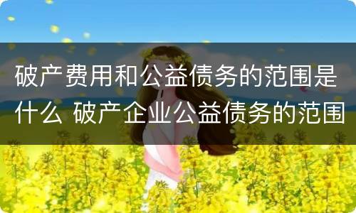 破产费用和公益债务的范围是什么 破产企业公益债务的范围