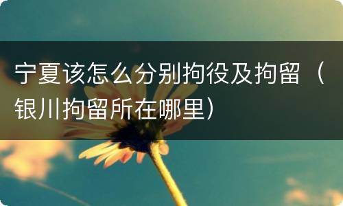 宁夏该怎么分别拘役及拘留（银川拘留所在哪里）