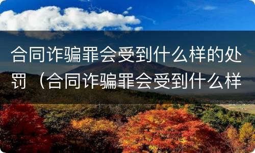 合同诈骗罪会受到什么样的处罚（合同诈骗罪会受到什么样的处罚和处罚）