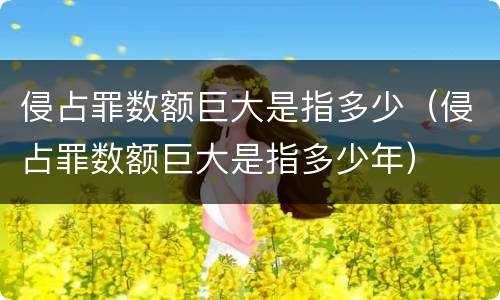 侵占罪数额巨大是指多少（侵占罪数额巨大是指多少年）