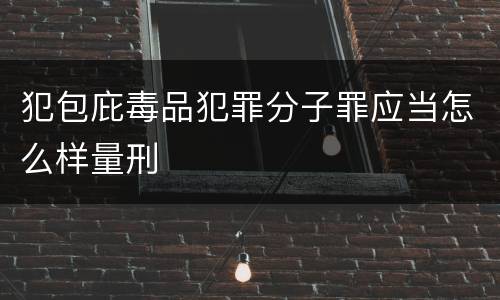 犯包庇毒品犯罪分子罪应当怎么样量刑
