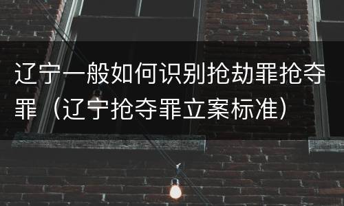 辽宁一般如何识别抢劫罪抢夺罪（辽宁抢夺罪立案标准）