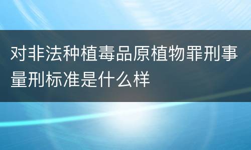 对非法种植毒品原植物罪刑事量刑标准是什么样