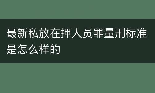 最新私放在押人员罪量刑标准是怎么样的