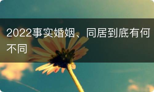 2022事实婚姻、同居到底有何不同