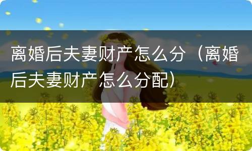 离婚后夫妻财产怎么分（离婚后夫妻财产怎么分配）