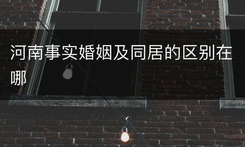 河南事实婚姻及同居的区别在哪