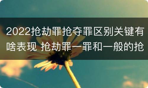 2022抢劫罪抢夺罪区别关键有啥表现 抢劫罪一罪和一般的抢劫罪