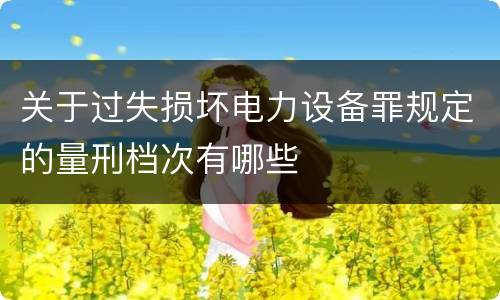 关于过失损坏电力设备罪规定的量刑档次有哪些