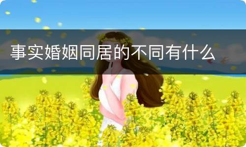 事实婚姻同居的不同有什么