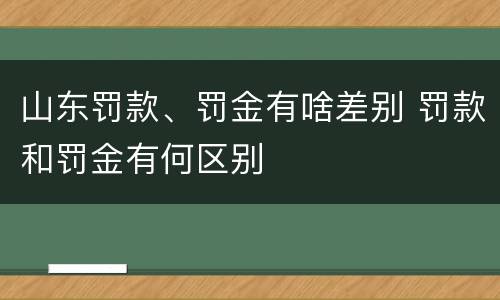 山东罚款、罚金有啥差别 罚款和罚金有何区别