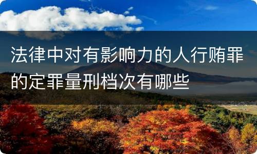 法律中对有影响力的人行贿罪的定罪量刑档次有哪些