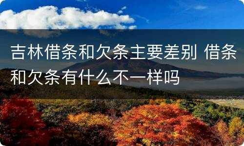 吉林借条和欠条主要差别 借条和欠条有什么不一样吗