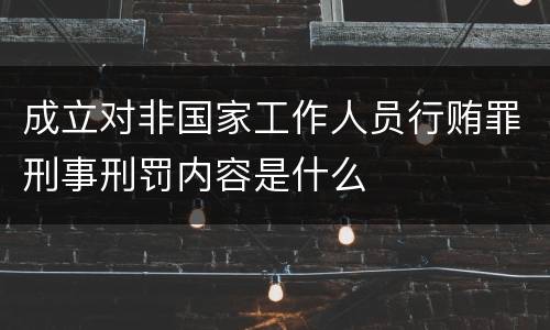 成立对非国家工作人员行贿罪刑事刑罚内容是什么