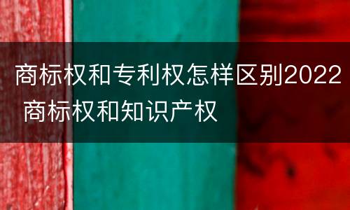 商标权和专利权怎样区别2022 商标权和知识产权