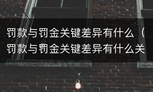 罚款与罚金关键差异有什么（罚款与罚金关键差异有什么关系）