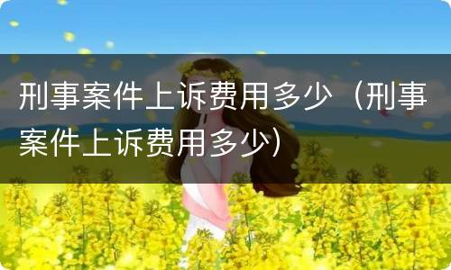 刑事案件上诉费用多少（刑事案件上诉费用多少）