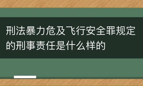 刑法暴力危及飞行安全罪规定的刑事责任是什么样的