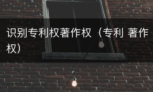 识别专利权著作权（专利 著作权）