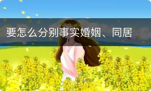 要怎么分别事实婚姻、同居