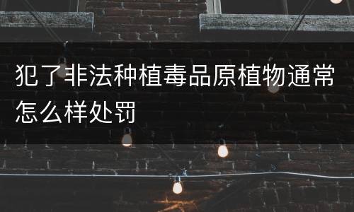 犯了非法种植毒品原植物通常怎么样处罚