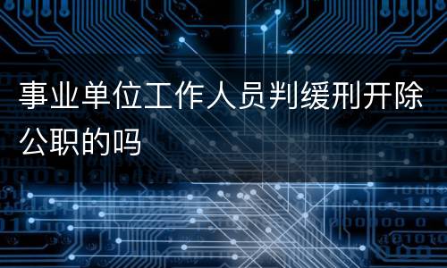 事业单位工作人员判缓刑开除公职的吗