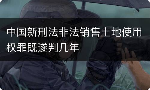 中国新刑法非法销售土地使用权罪既遂判几年