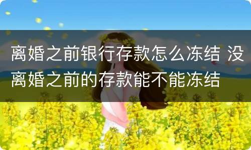离婚之前银行存款怎么冻结 没离婚之前的存款能不能冻结