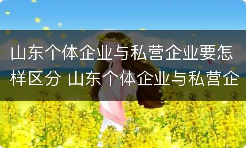 山东个体企业与私营企业要怎样区分 山东个体企业与私营企业要怎样区分呢