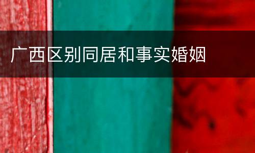 广西区别同居和事实婚姻