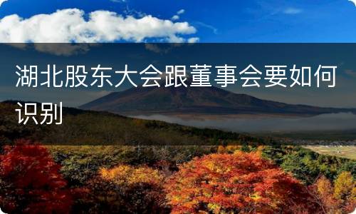 湖北股东大会跟董事会要如何识别